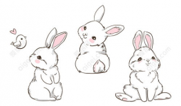 有关兔子的动漫,兔子的奇幻冒险之旅