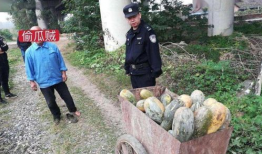 大荔吃瓜最新事件爆料视频,最新爆料视频揭露惊人内幕