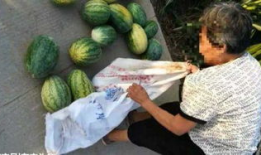 吃瓜最新事件爆料新沂